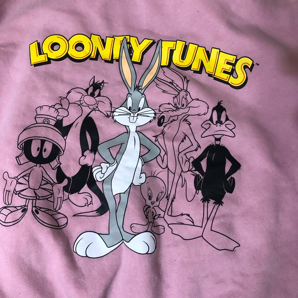 Warner Bros. Looney Tunes Pink Pullover